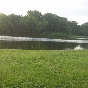 Meet your Posher, Allen